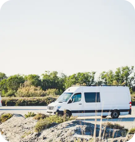 Our Story Tampa Bay logistics expert coordinating neighborhood delivery routes on digital map