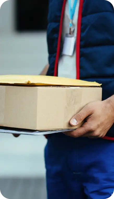 Our Specialized Delivery Process in Westshore Our Specialized Delivery Process in Westshore