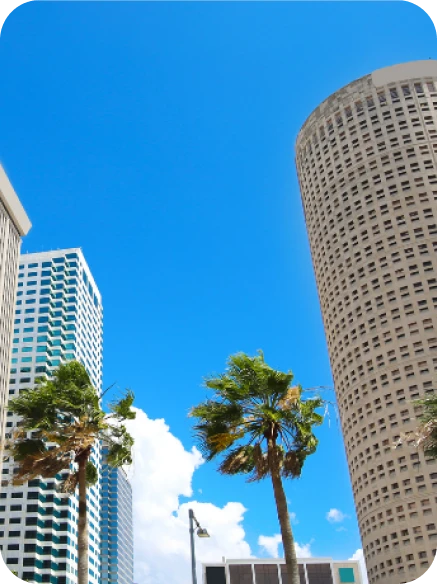 Downtown Tampa Expedited Delivery FAQ Downtown Tampa Expedited Delivery FAQ