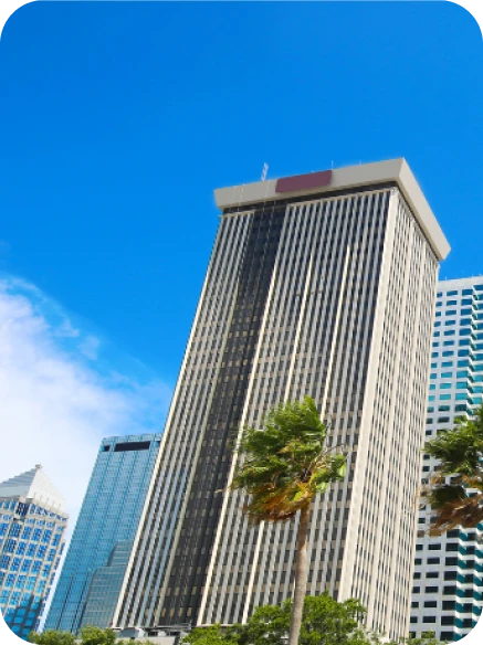 Downtown Tampa Bay Specialized Delivery FAQ Downtown Tampa Bay Specialized Delivery FAQ